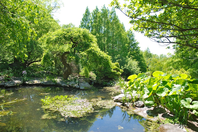 Frank Cabot A Tribute North American Rock Garden Society